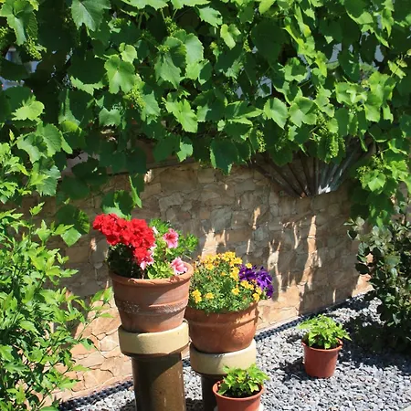 Am Geyersberg Oberschöna