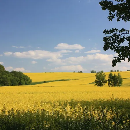Apartman Am Geyersberg *