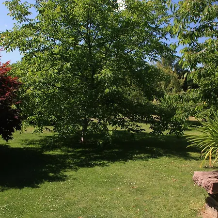 Am Geyersberg Apartman *