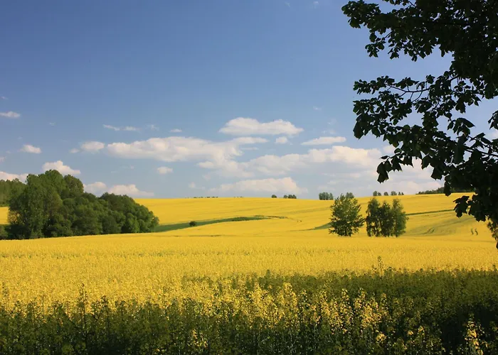 Apartment Am Geyersberg *