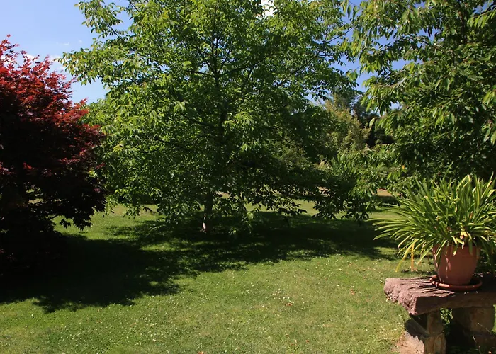 Am Geyersberg Apartment *